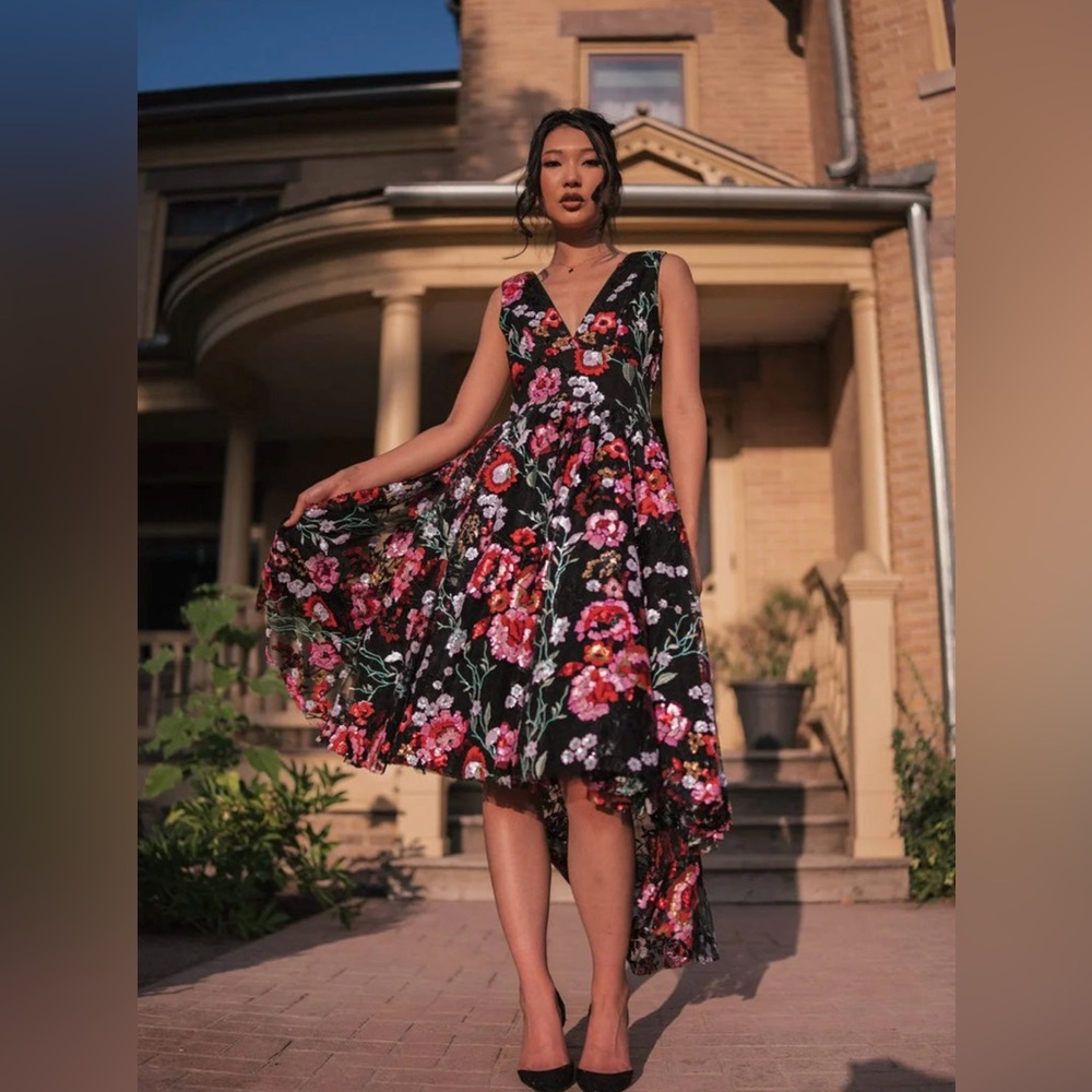 NWT JessaKae Ebony Rose size 3x Black Dress with Red and Pink Floral Embroidery